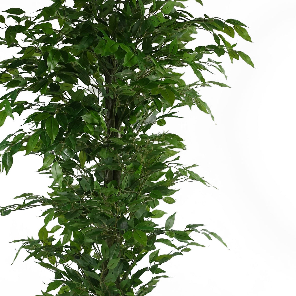 180cm Artificial Ficus Tree Green