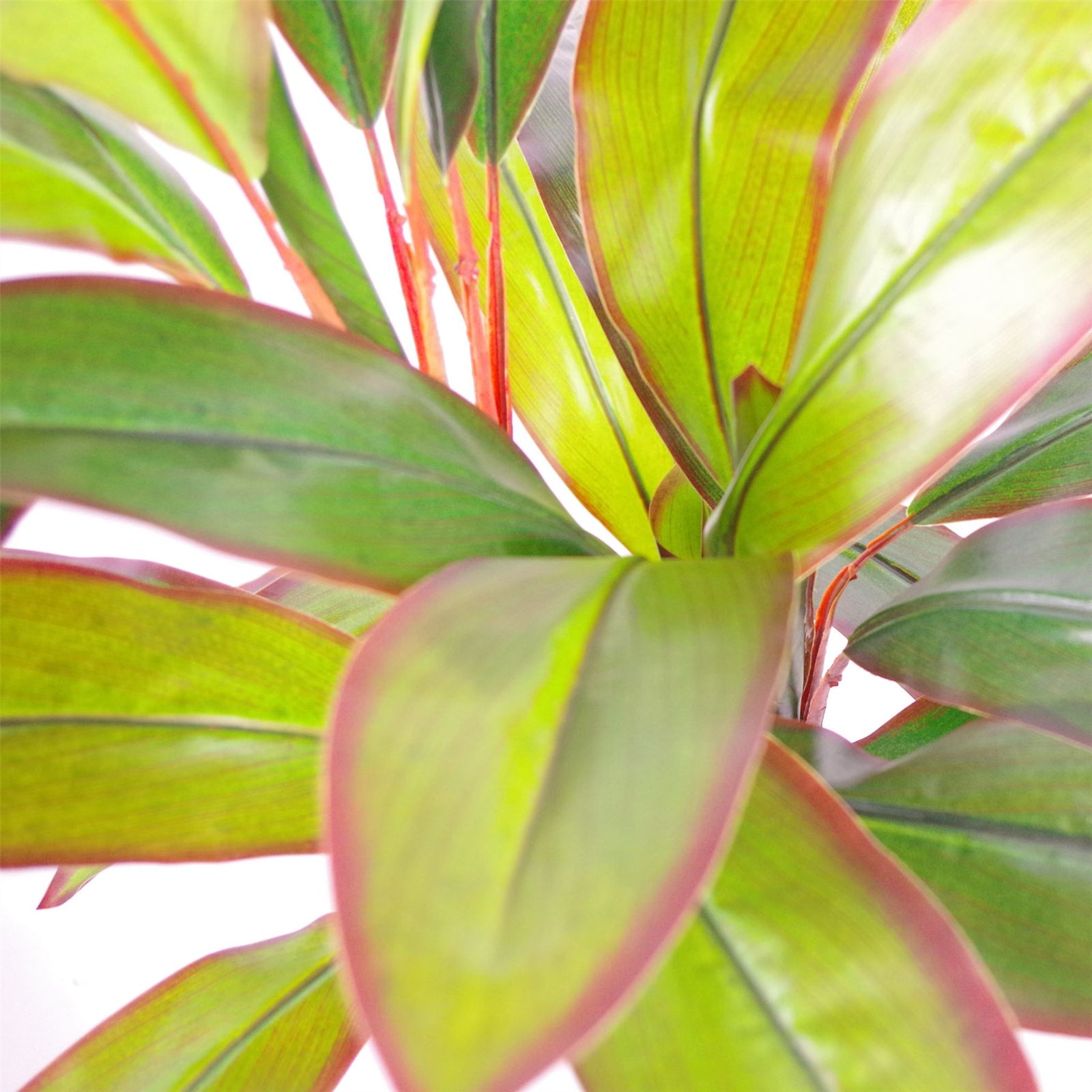 100cm Artificial Potted Dracaena Tropical Plant Silver Metal Plater