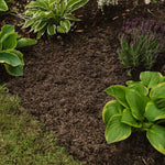 Weed Stop Decorative Ground Cover Natural Mulch, Up To 6 Months Weed Control | 50l