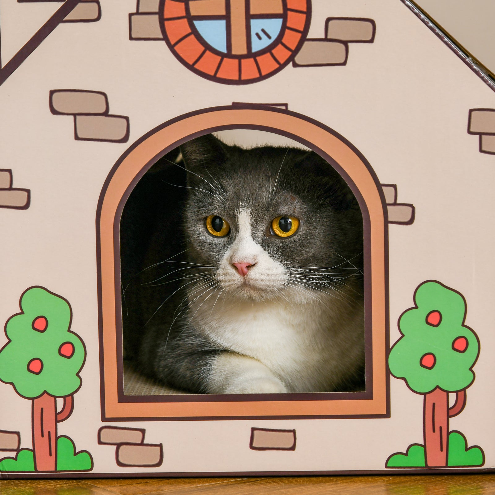 Cardboard Cat House, Recyclable Corrugate Scratcher For Indoor Cats