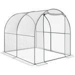 Transparent Polytunnel Greenhouse 2.5x2x2m