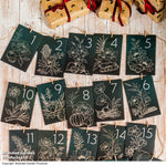 Diy Flower Seed Advent Calendar - Christmas