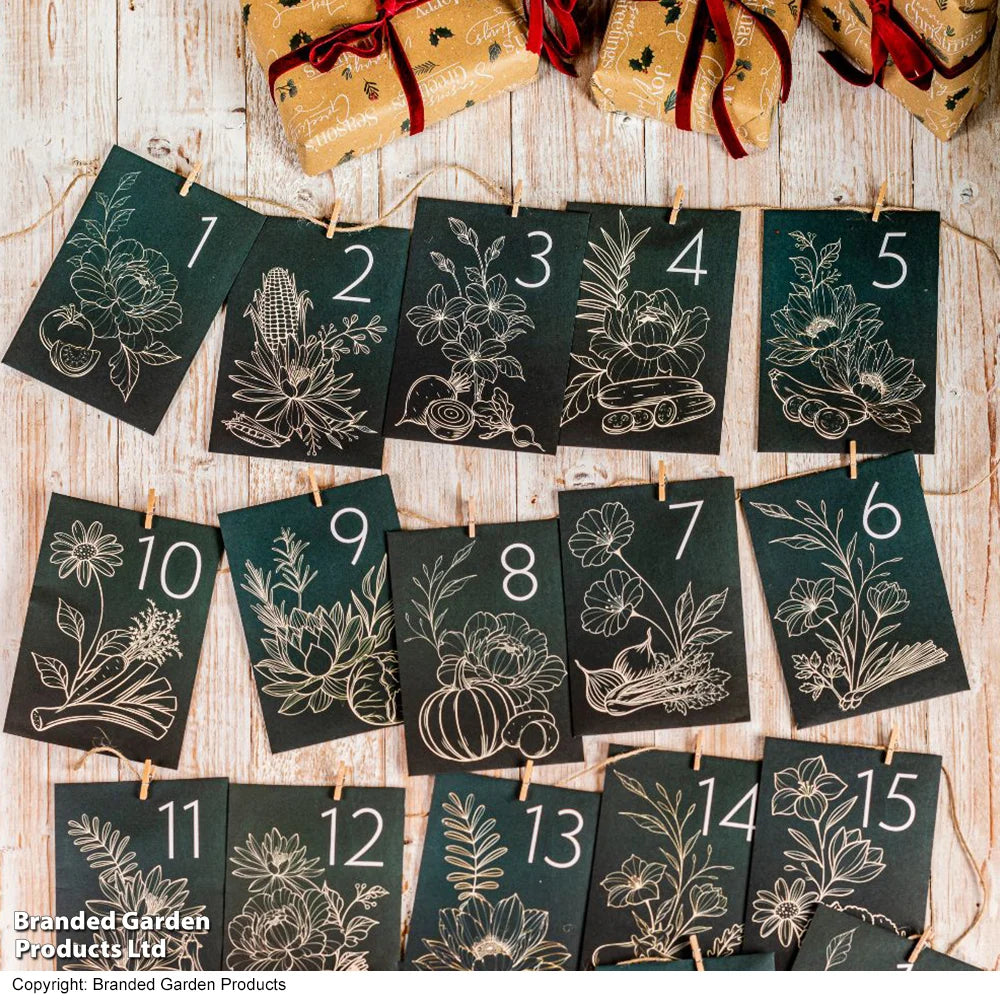 Diy Flower Seed Advent Calendar - Christmas