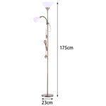 Modern 2 Light Floor Lamp