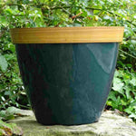 Winter Colour Patio Kit - 1 Pair