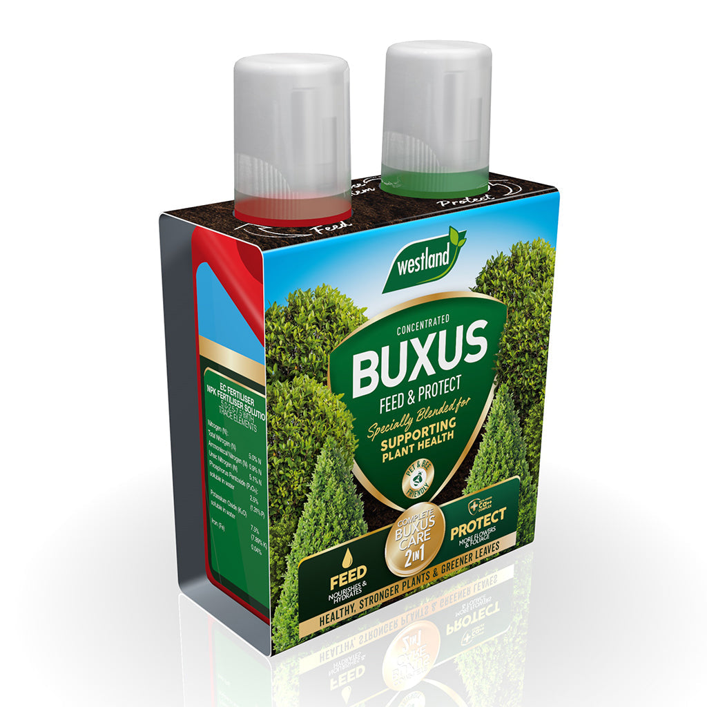 Buxus 2-in-1 Feed & Protect Duo | Pair
