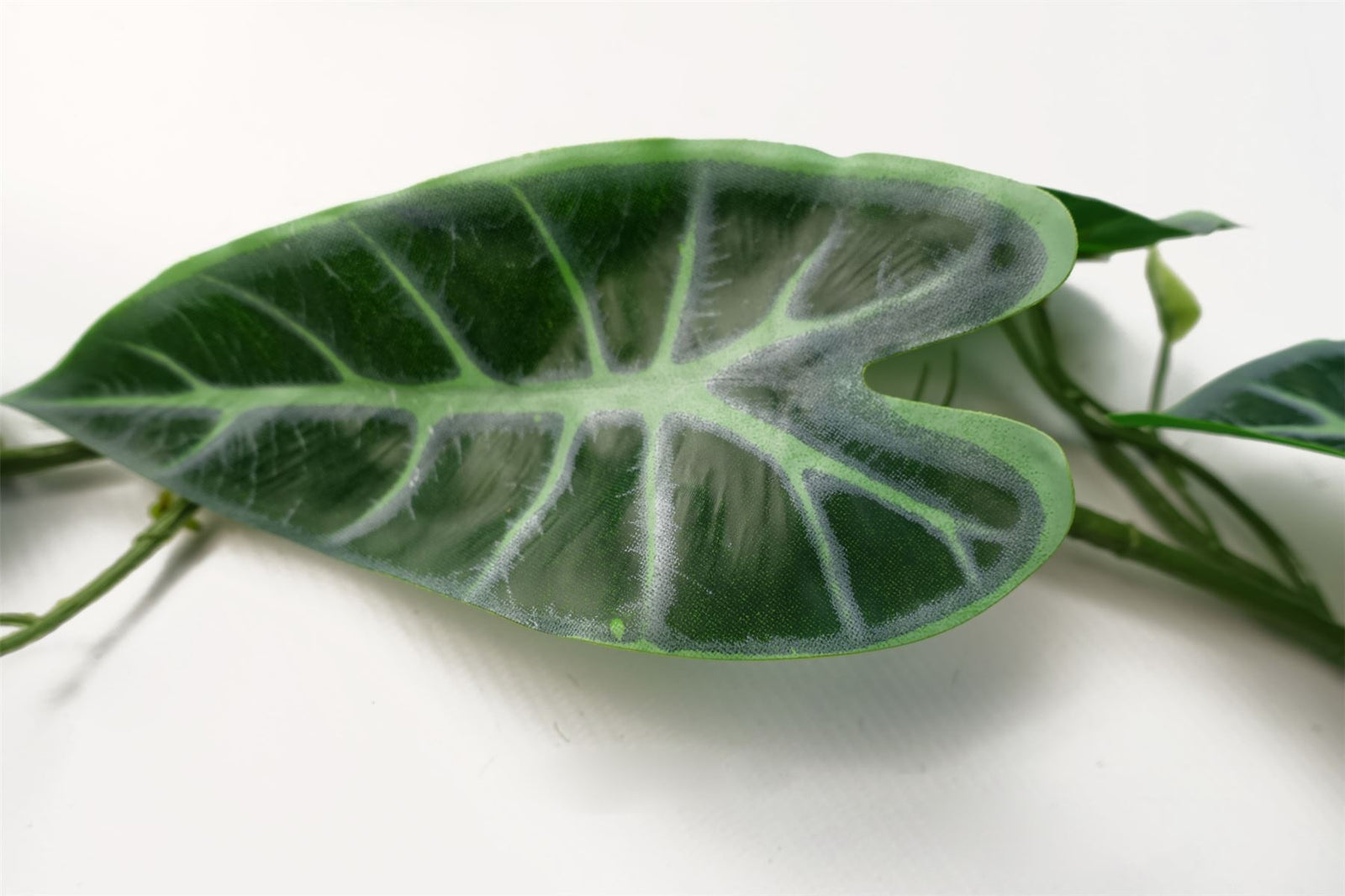 6 X 180cm Artificial Hanging Trailing Amazonica Plant