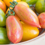 Pink Tiger Tomato — Striped Plum Tomatoes Seeds | 10 Seeds