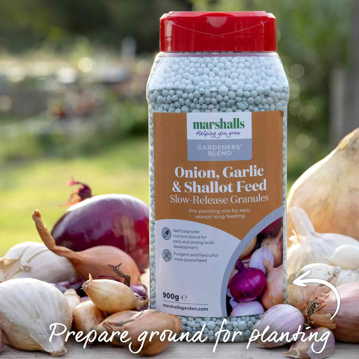 Spring-planting Onion Sets Duo Pack — Red Baron And Stuttgarter Riesen | Set of 2 | Teal & Yellow