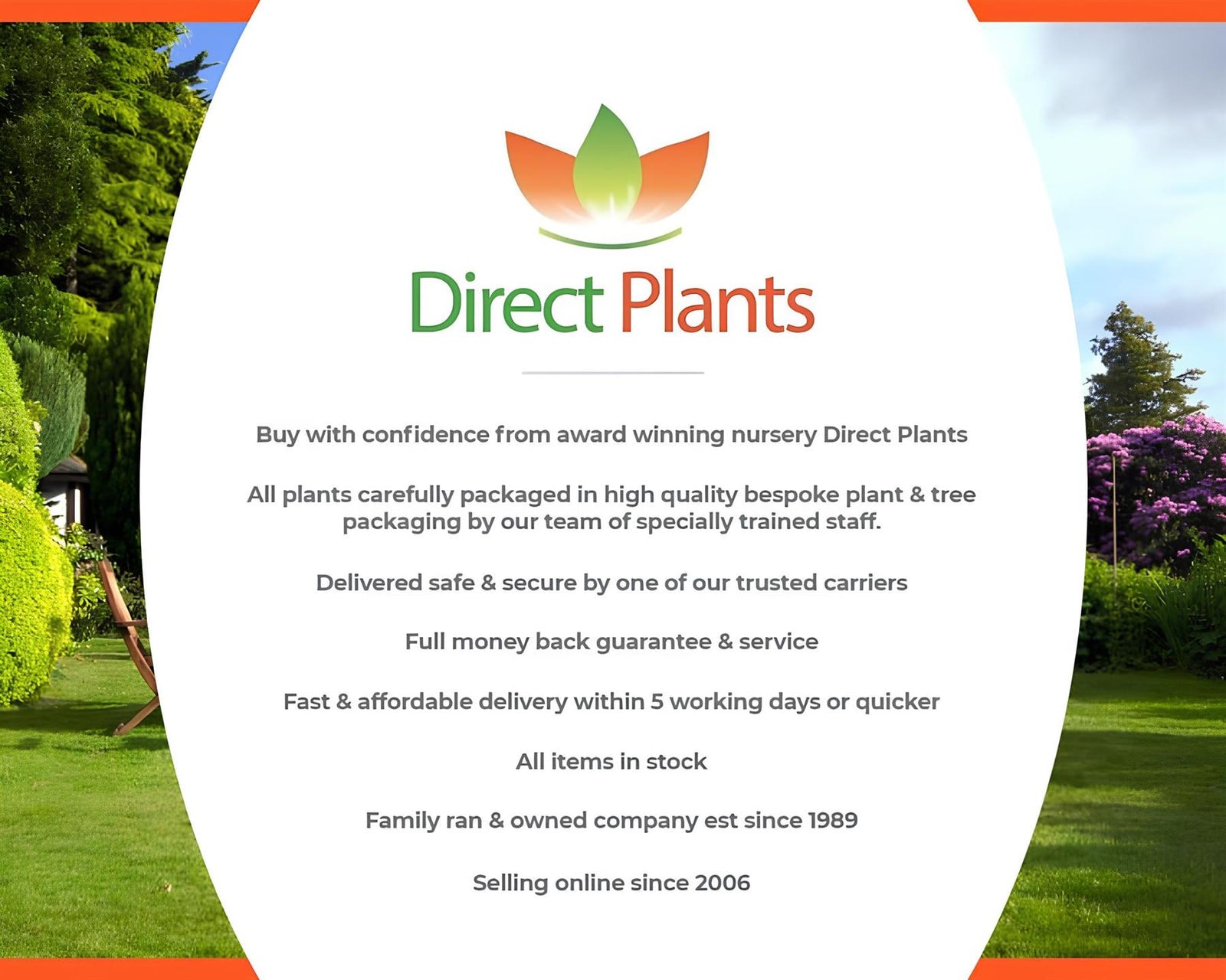 The Low Front Garden Border Mix Selection Large Mature Plants Supplied In 3 Litre Pots | Set-of-12