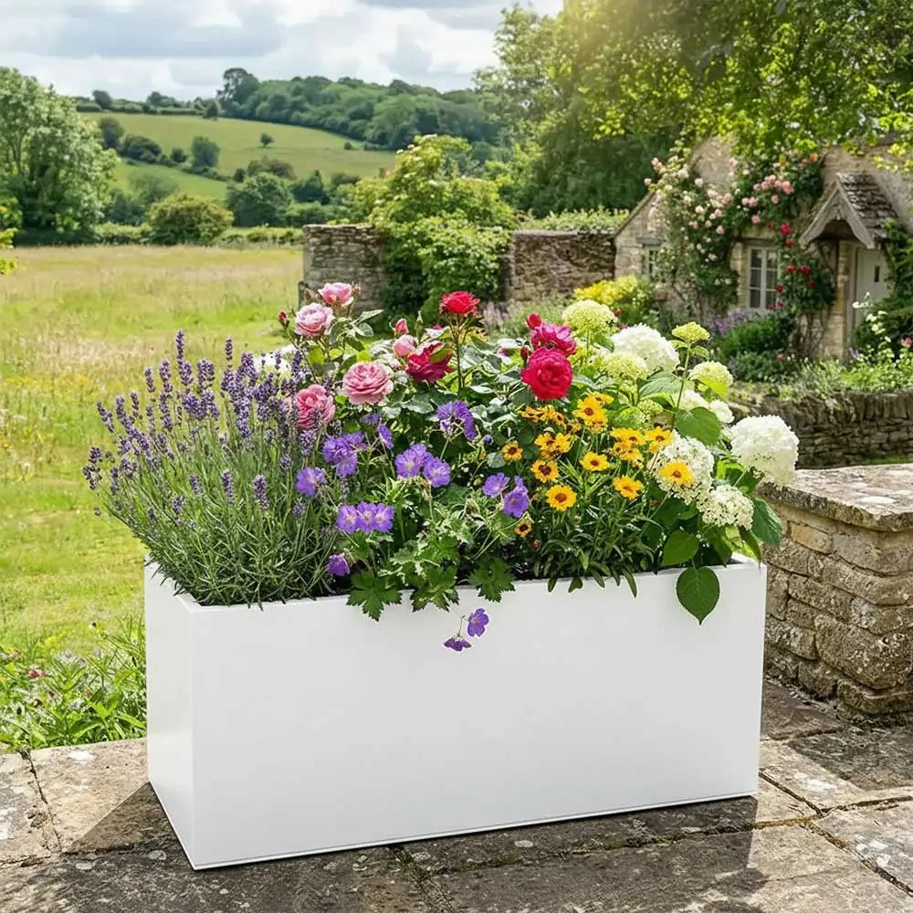 Zinc Galvanised Trough Planter | 70cm x 24cm x 24cm | White