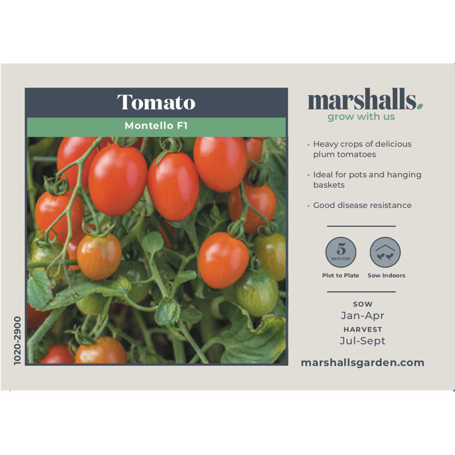 Montello F1 Bush Tomato Seeds | 6 Seeds
