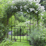 Garden Arch W/ Double Gate, Garden Arbor Climbing Plants