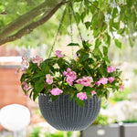 3pcs/pack Grey 16.5cm Plastic Hanging Planter Flower Baket Home Decor