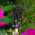 Dragonfly On Bamboo Cane Companion - Frostproof Stone-effect Garden Topper | Black