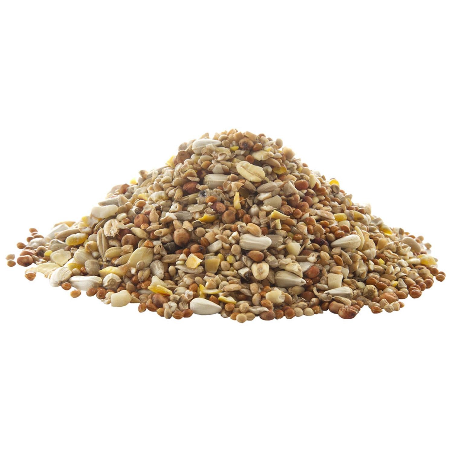 Complete Seed And Nut No Mess Wild Bird Food Mix, 20kg