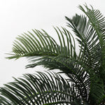 Large Artificial Palm Tree 60cm Cycas Realistic Plant Leaf Design Uk Botanik