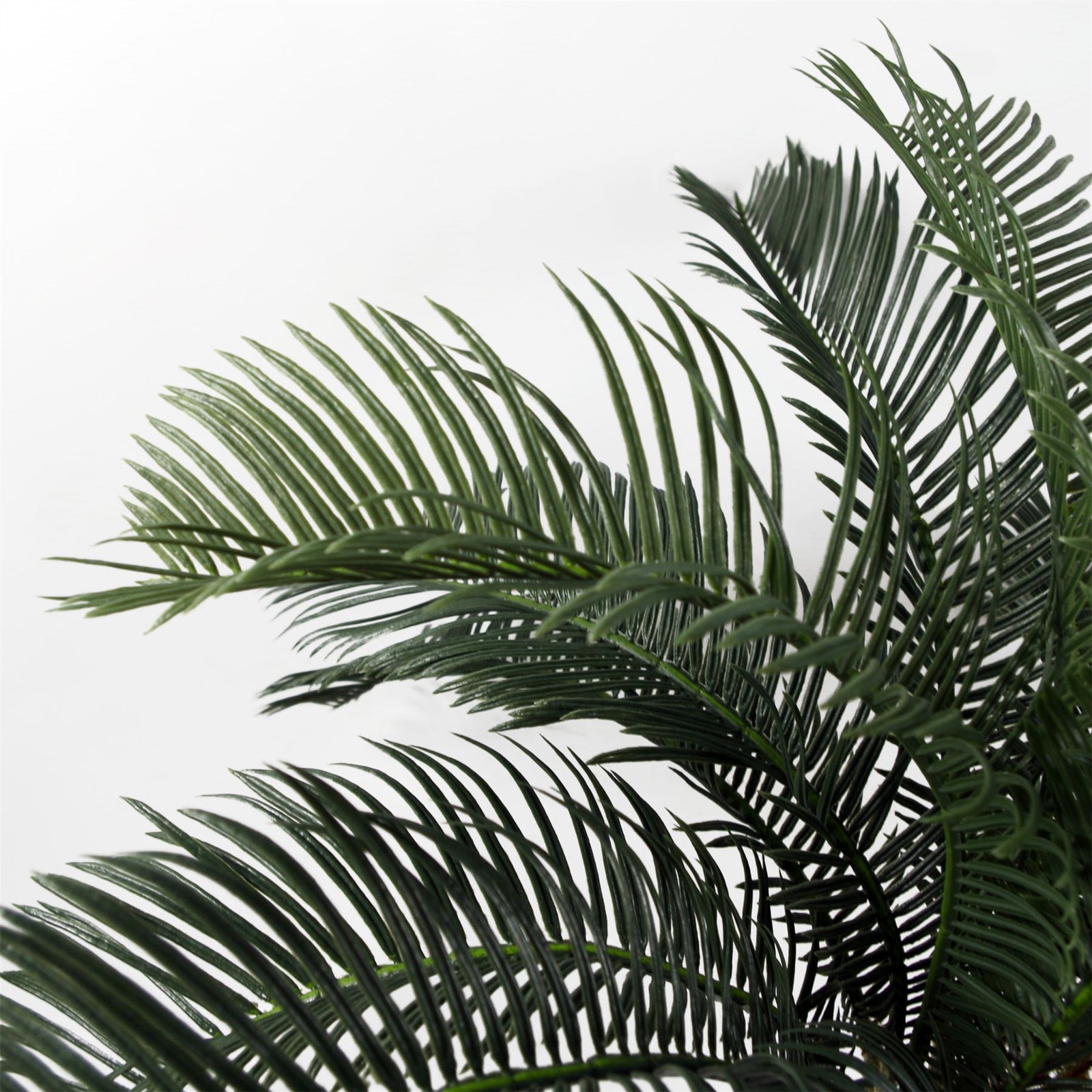 Large Artificial Palm Tree 60cm Cycas Realistic Plant Leaf Design Uk Botanik