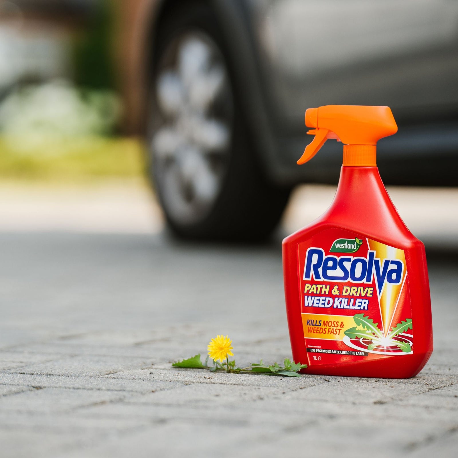 Path & Drive Weedkiller