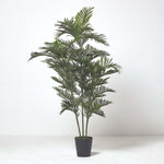 Multi Stem Green Palm Tree In Pot | 180cm | Green