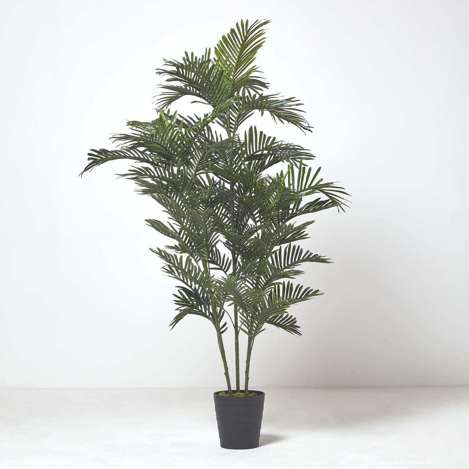 Multi Stem Green Palm Tree In Pot | 180cm | Green