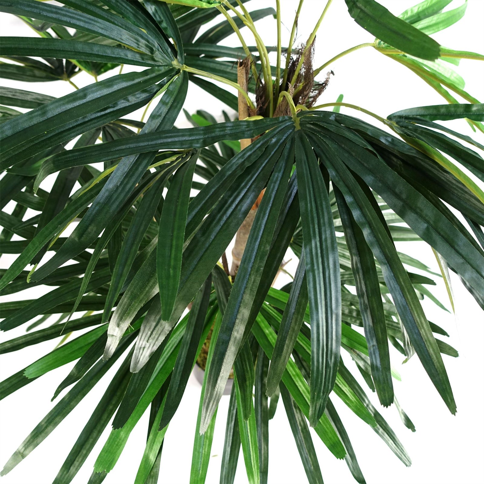 Artificial 100cm Raphis Palm Tree