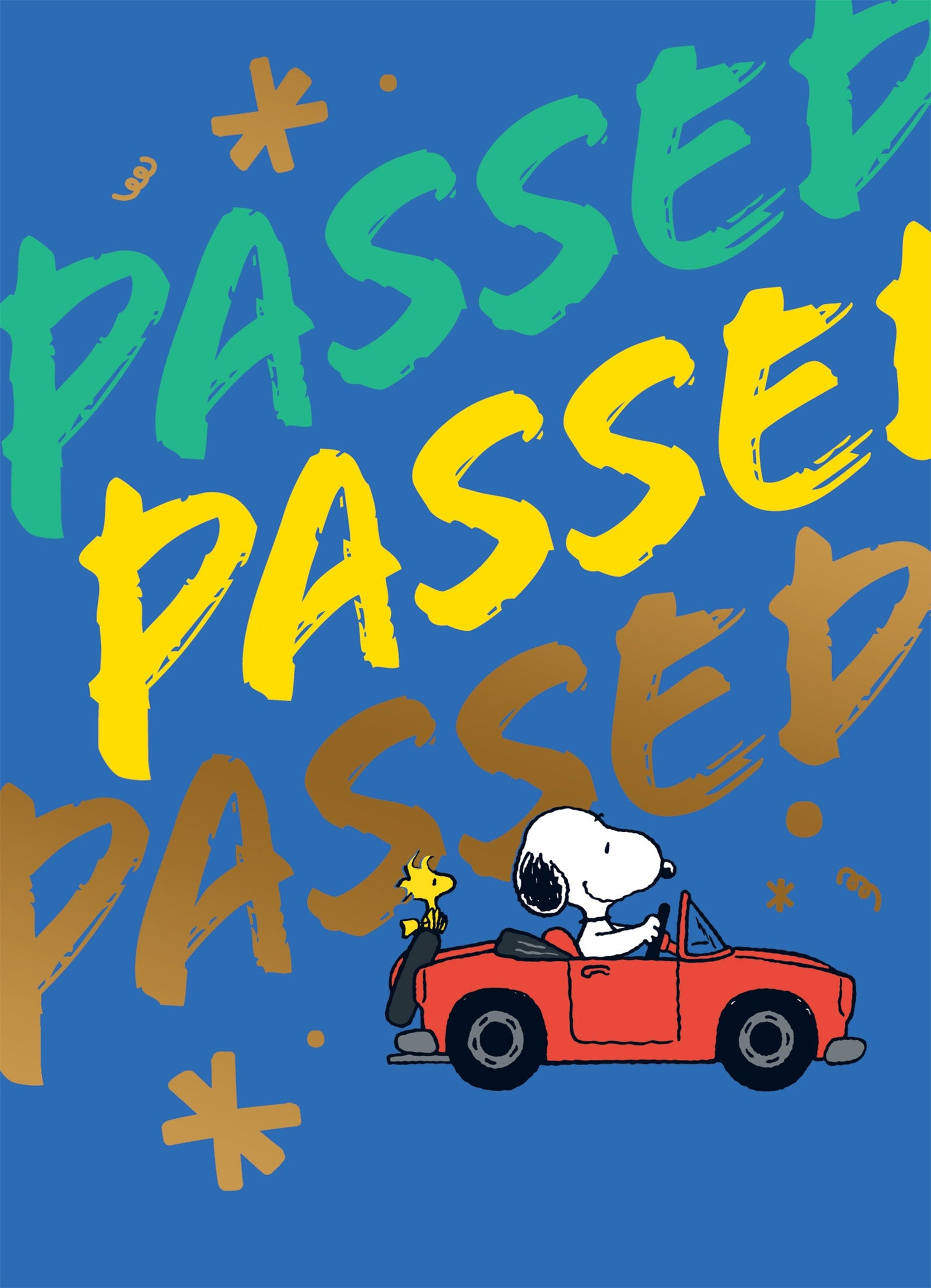 Snoopy Passed Driving Test Card Official Product