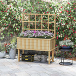 Raised Garden Bed With Trellis & Drain Holes | Yellow