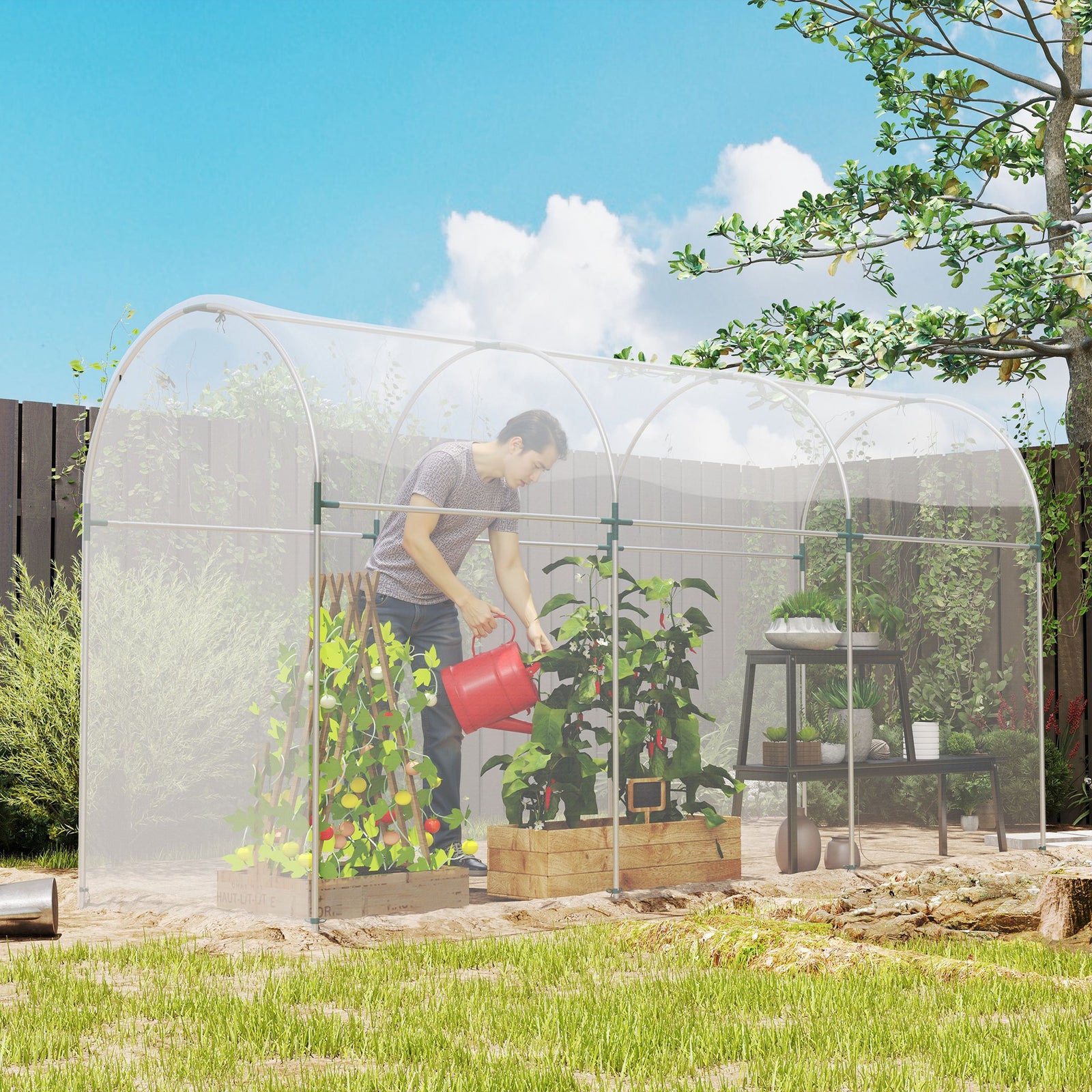 6 X 10m Uv Resistant Waterproof Plastic Polytunnel Cover