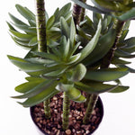60cm Artificial Tropical Yukka In Planter