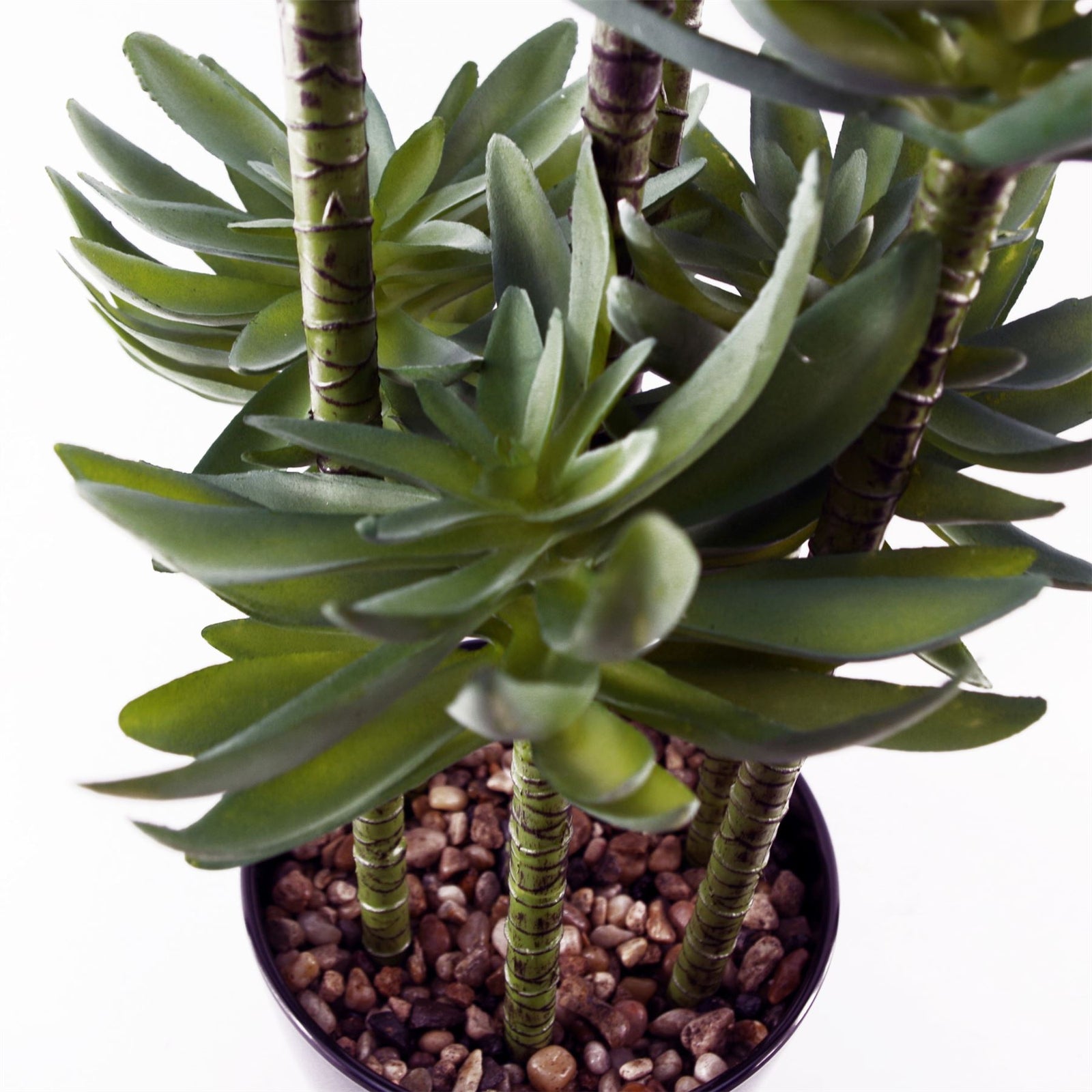 60cm Artificial Tropical Yukka In Planter