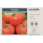 Tomato Seeds 'big Daddy' Disease-resistant Large Tomatoes | 15 Seeds
