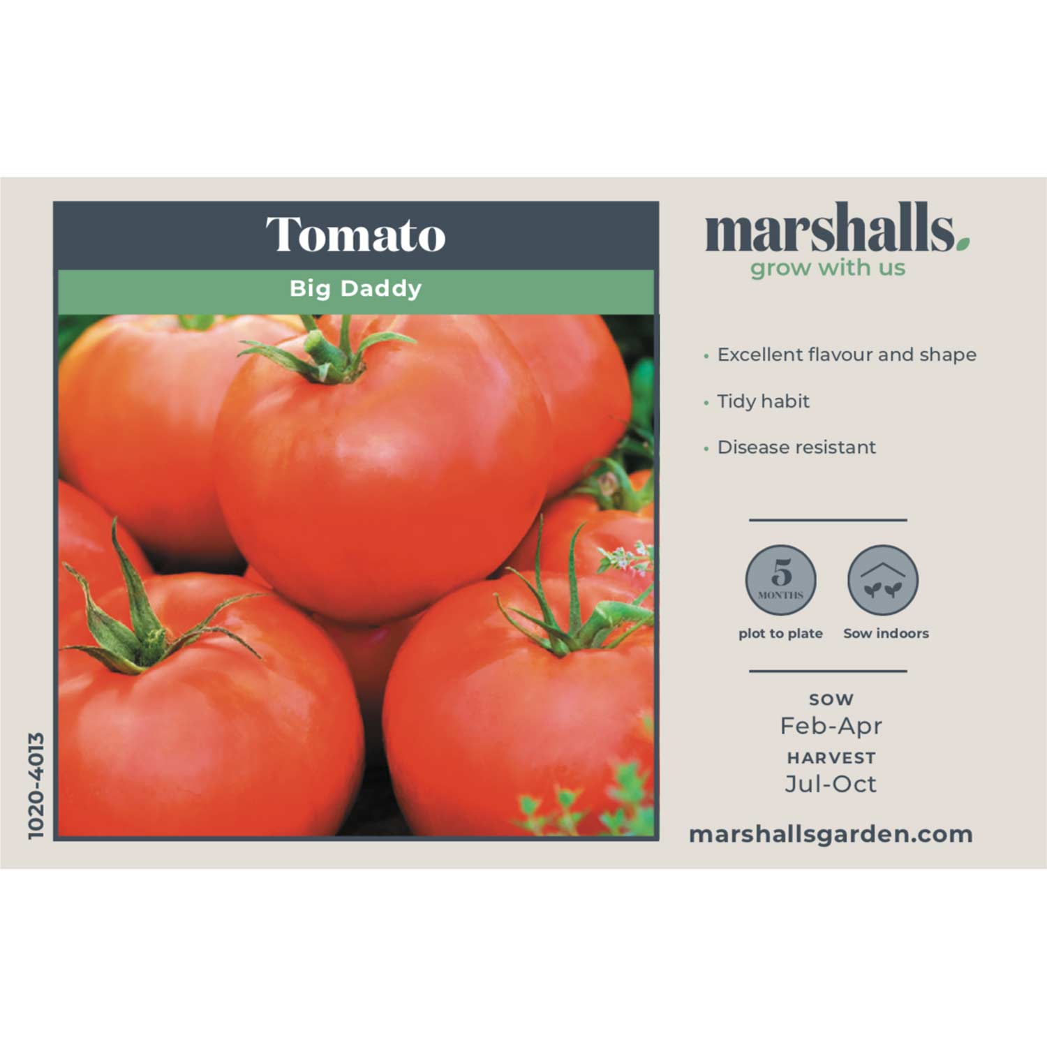 Tomato Seeds 'big Daddy' Disease-resistant Large Tomatoes | 15 Seeds