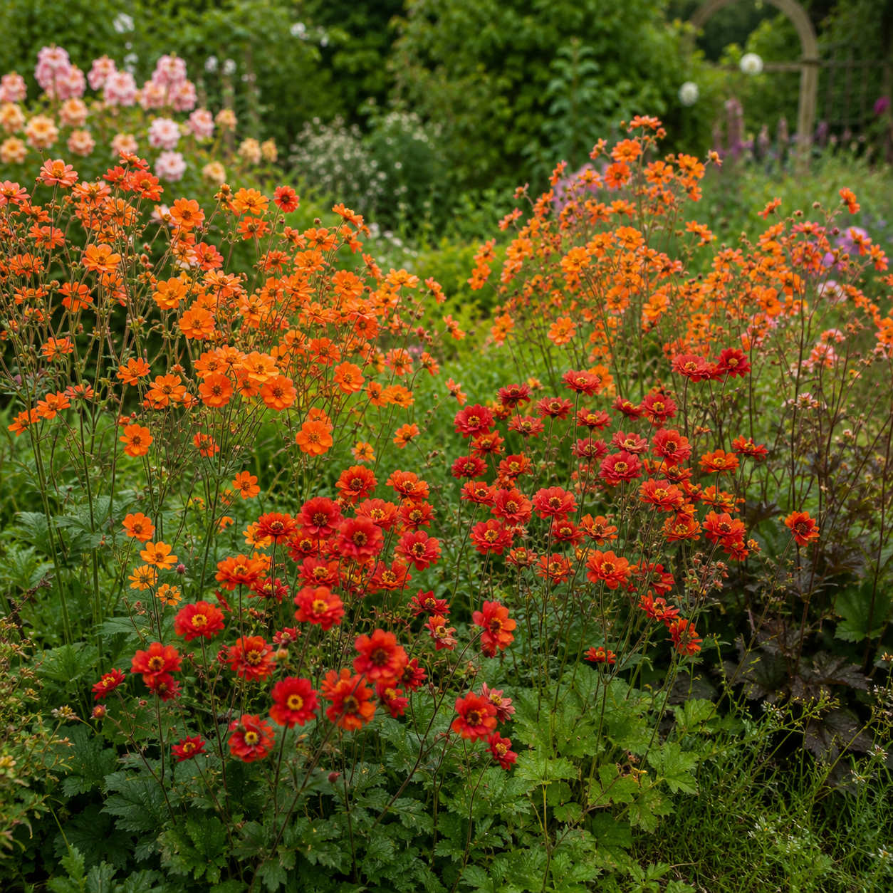 Exclusive Geum Collection 9cm Pots | 6 x 9cm | Mixed