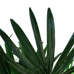 Artificial 100cm Raphis Palm Tree
