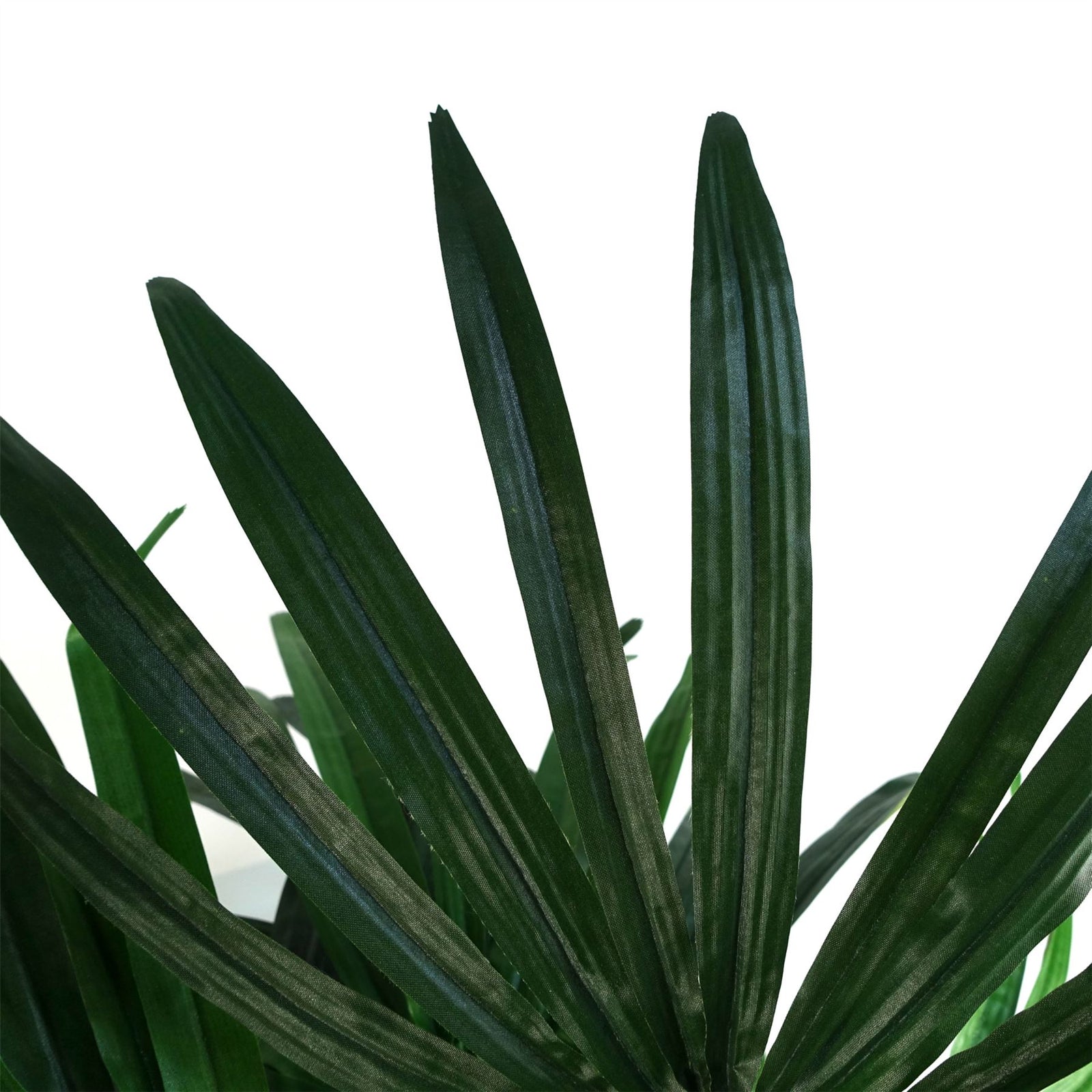 Artificial 100cm Raphis Palm Tree