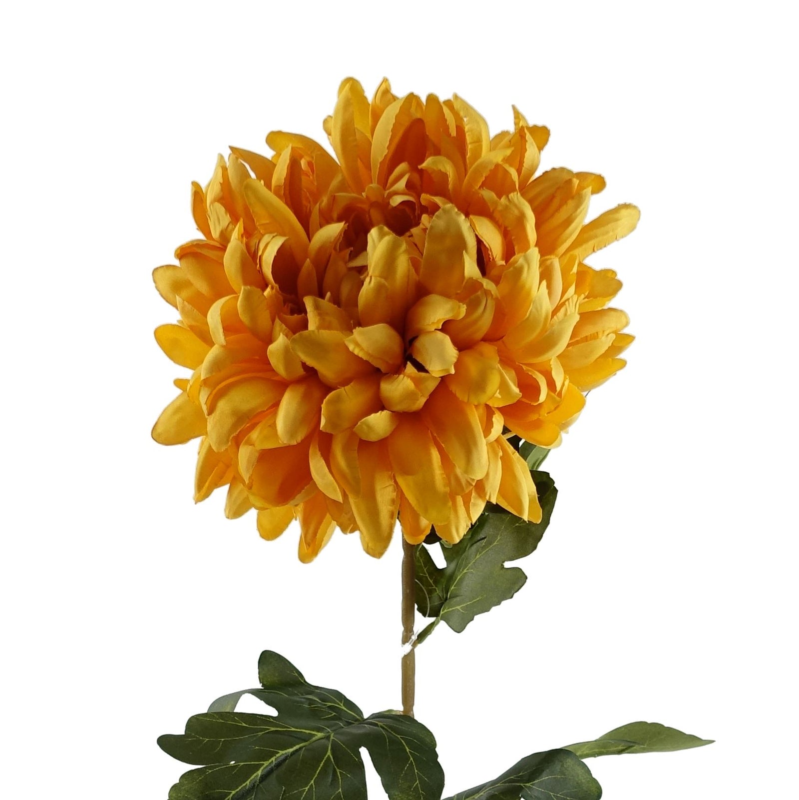 Pack Of 6 X 75cm Extra Large Reflex Chrysanthemum - Gold