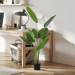 Artificial Bird Of Paradise Plant With Flocking In Pot | 160cm | Green