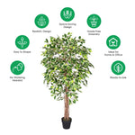 Artificial Handcrafted Ficus Tree With Real Wood Trunk | 6ft | Multi Colour