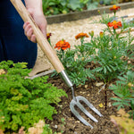 Stainless Steel Border Hand Fork With Ash Handle