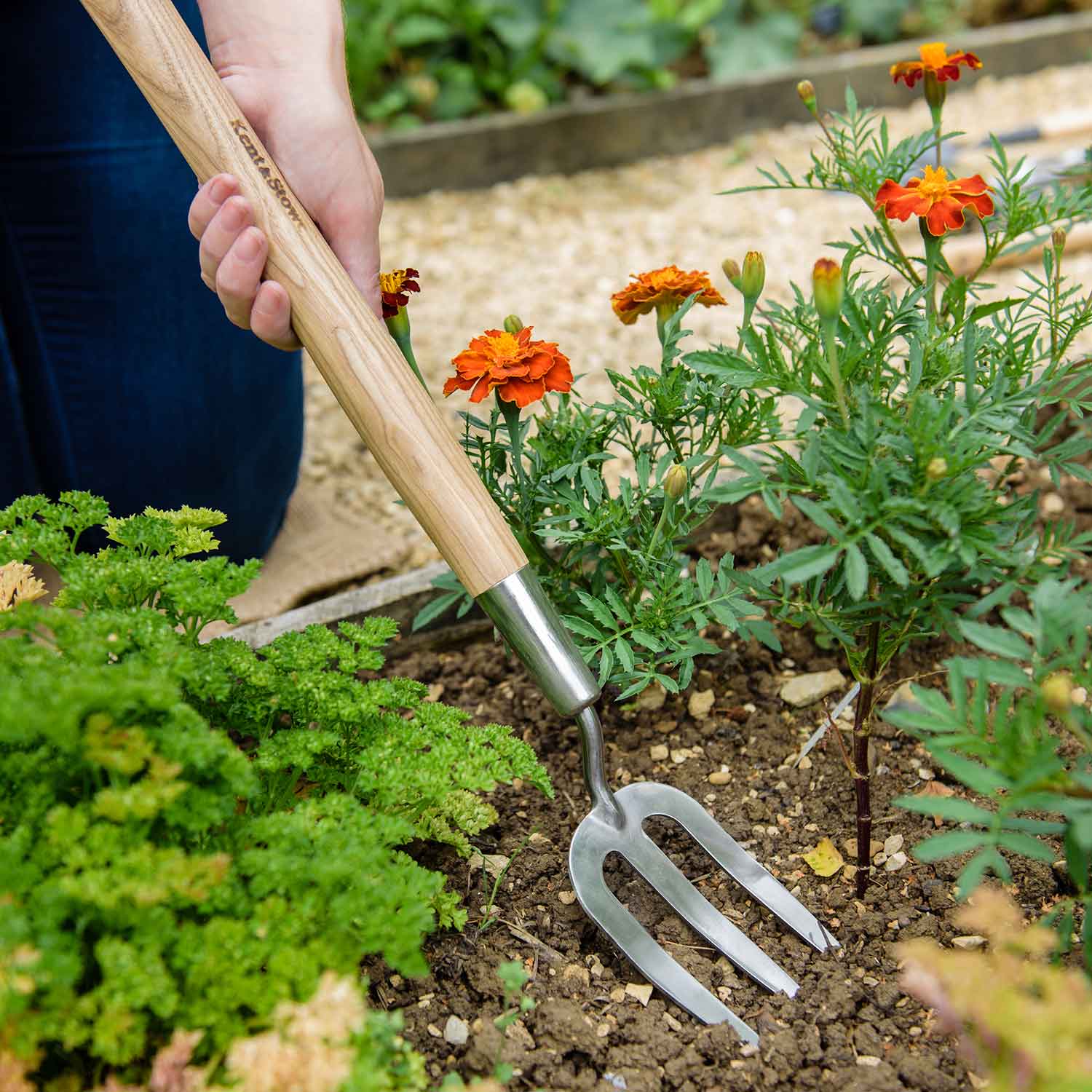 Stainless Steel Border Hand Fork With Ash Handle