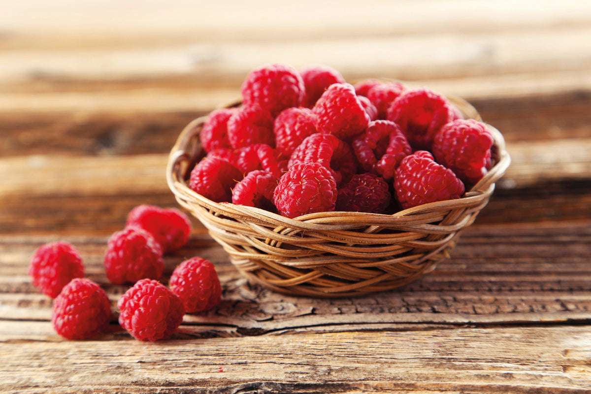 Raspberry Full Season Collection Canes | Set of 9