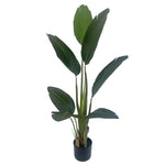 120cm Artificial Uv Traveller Banana Palm Tree