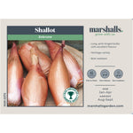 Zebrune Heritage Shallot Seeds | 75 Seeds