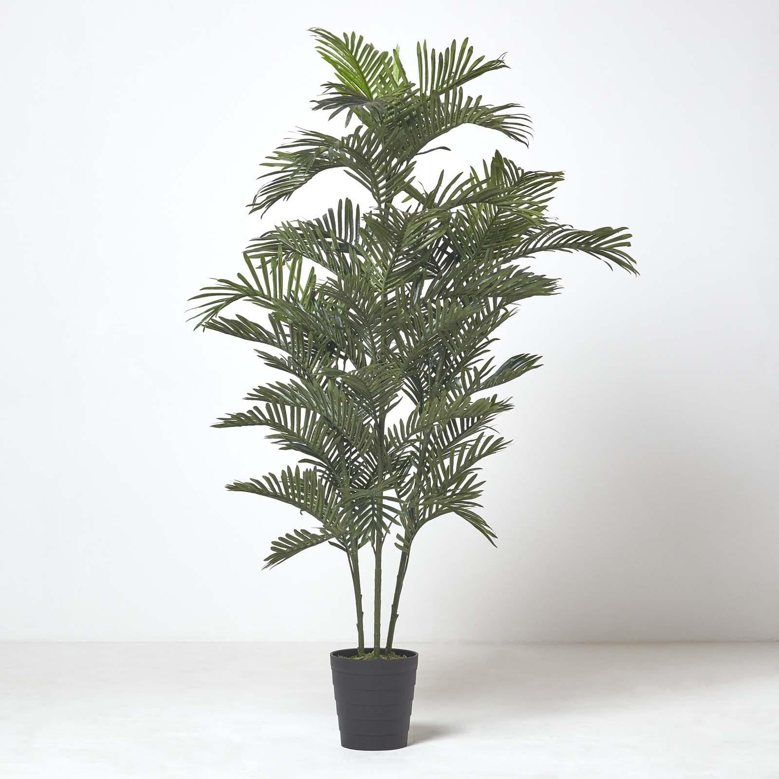 Multi Stem Green Palm Tree In Pot | 180cm | Green