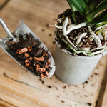 Orchid Potting Mix Peat Free Enriched With Seramis, 8 Litre