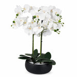 60cm Orchid Artificial White Black Ceramic Planter