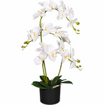 65cm  Design Uk Realistic Artificial Orchid Flower Display In Pot