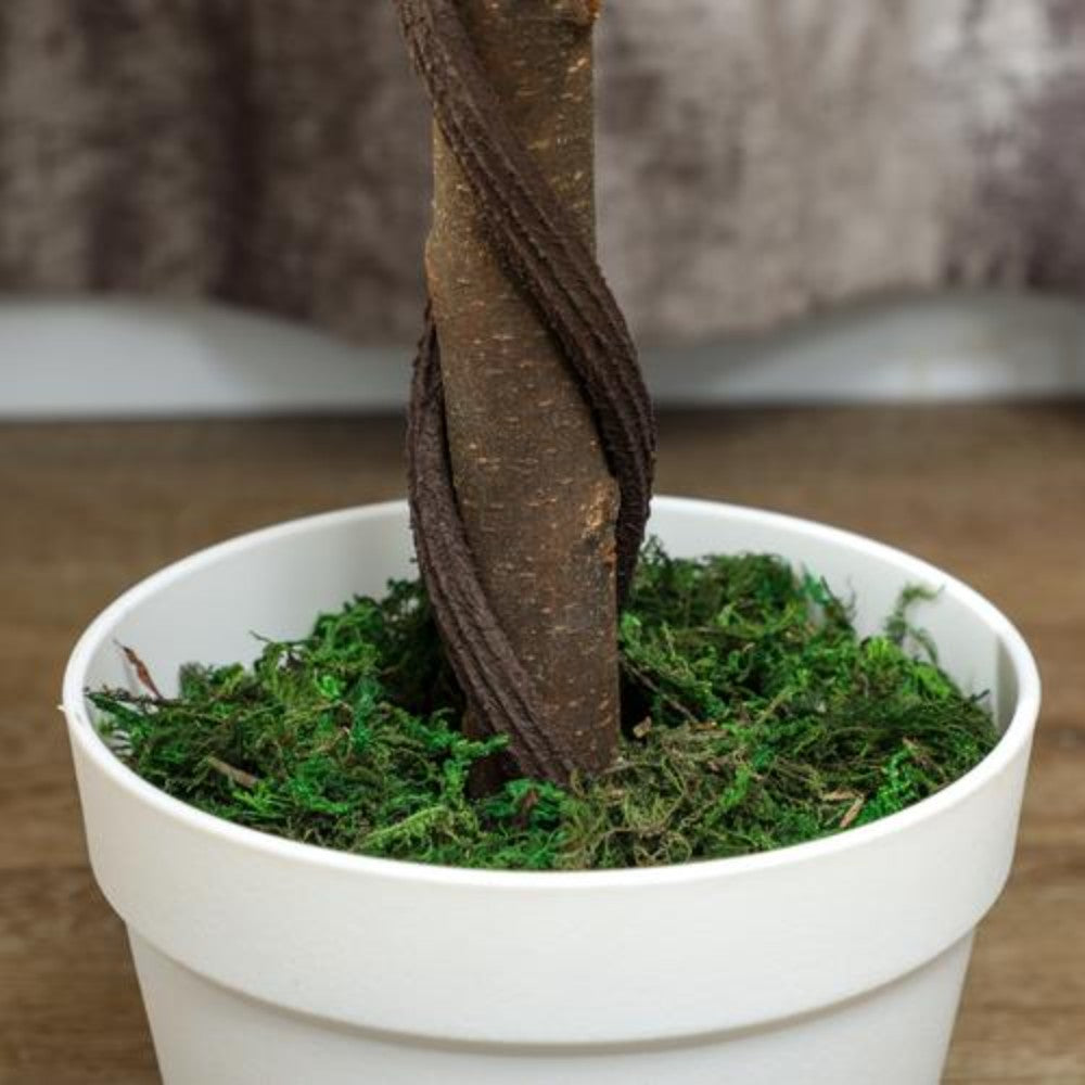 Dyzi 2pcs 90cm Artificial Rose Potted Faux Tree Plant Garden Patio Décor