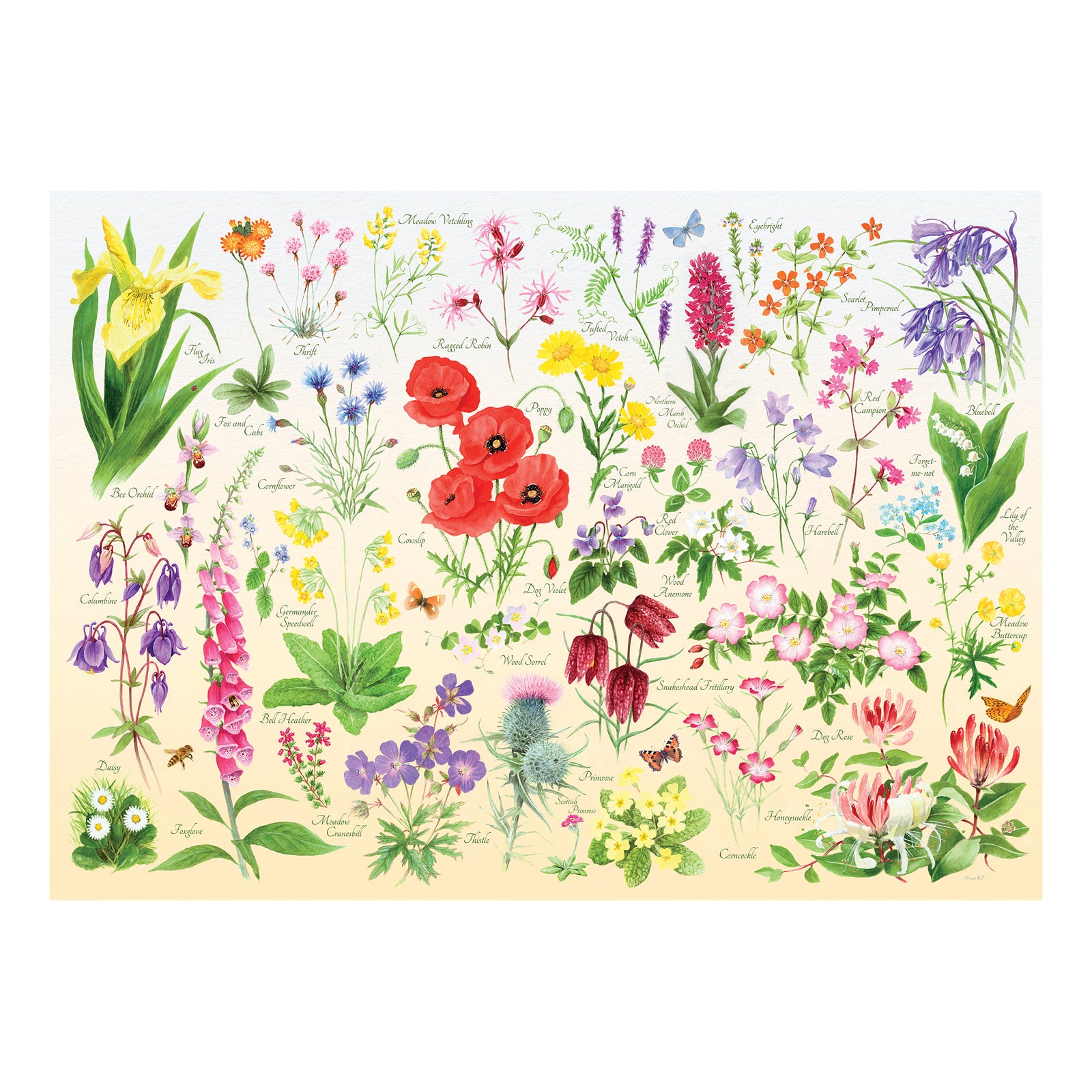 Wildflowers Jigsaw - 1000 Piece Jigsaw Puzzle For Adults